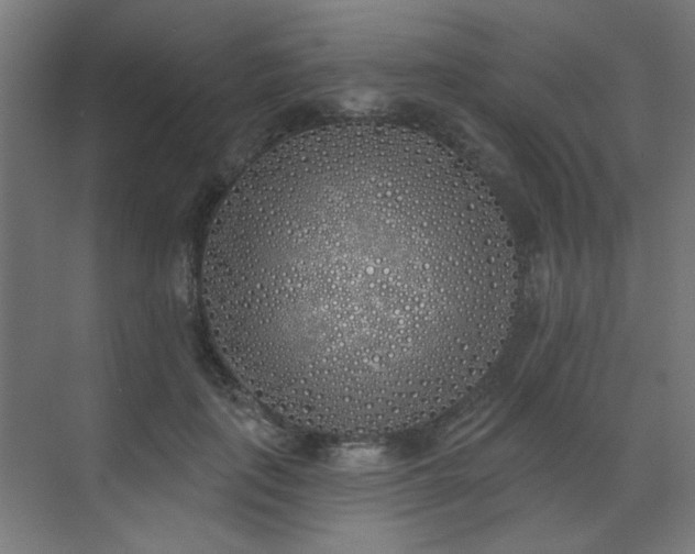 X0000072510651200607141133