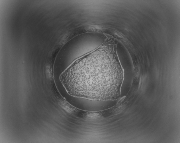 X0000072510669200607141133