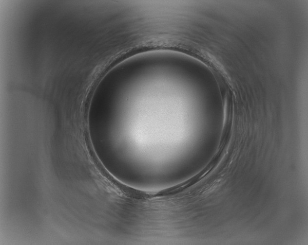 X0000072510673200607141133
