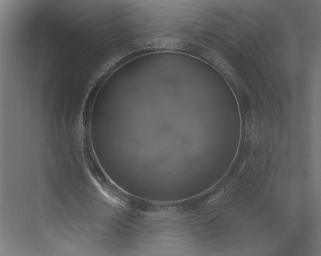 X0000072510674200607141133