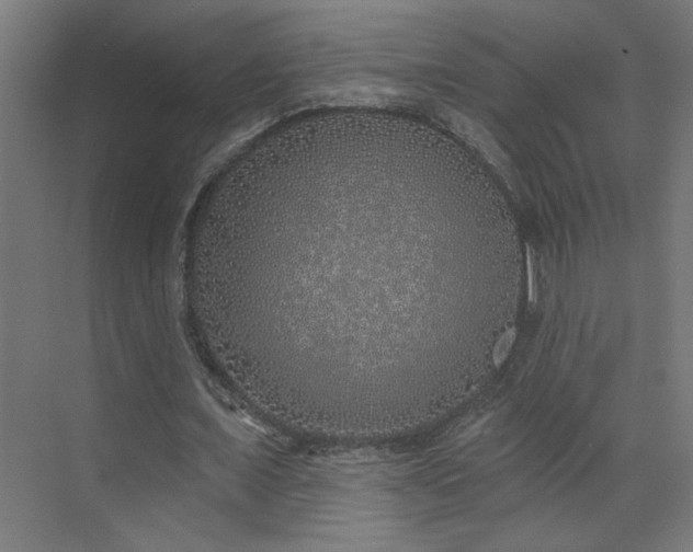 X0000072510675200607141133