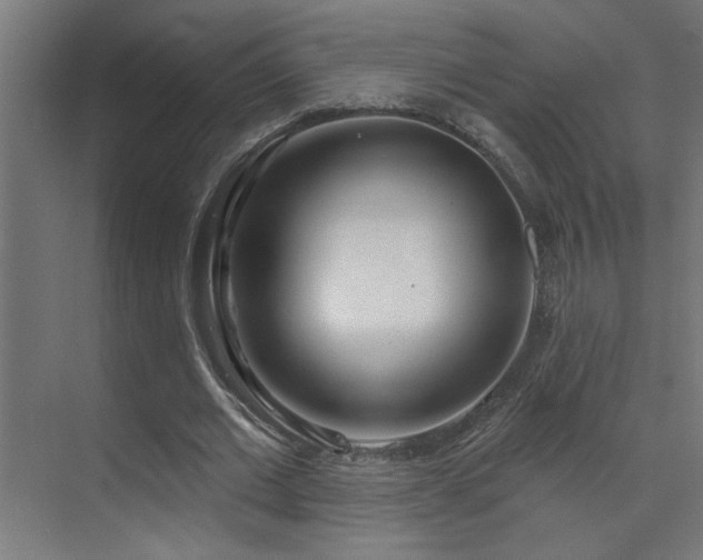X0000072510677200607141133