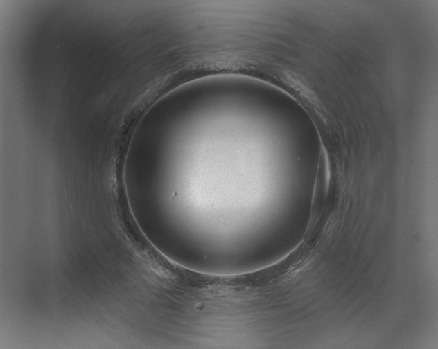 X0000072510681200607141133