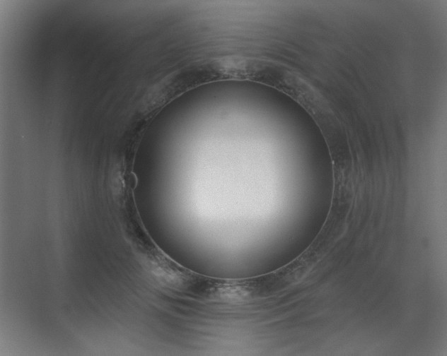 X0000072510702200607141132