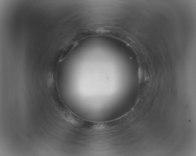 X0000072510704200607141132