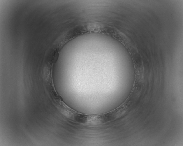 X0000072510705200607141132