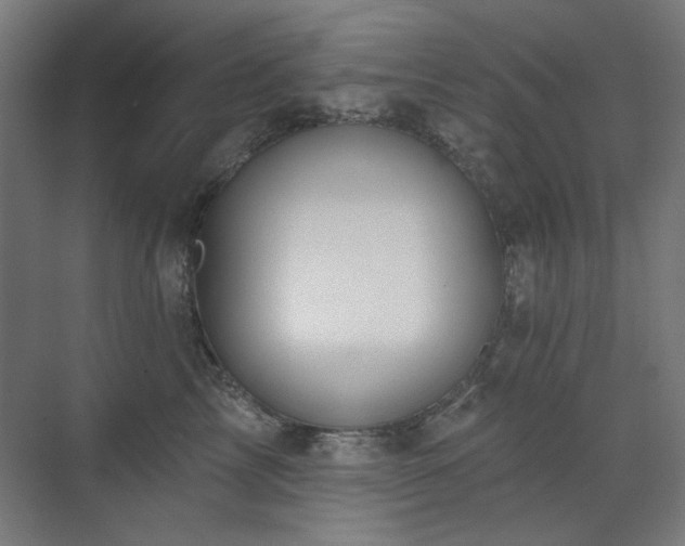 X0000072510713200607141132