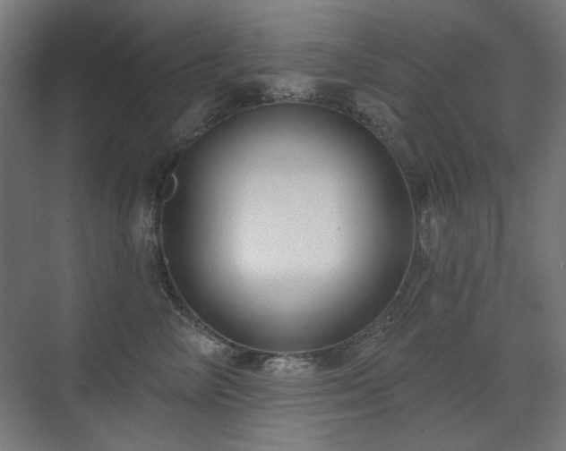 X0000072510714200607141132