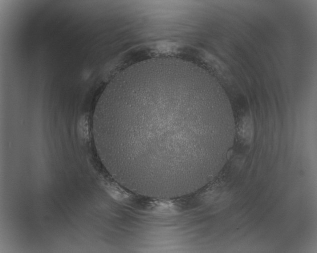 X0000072510715200607141132