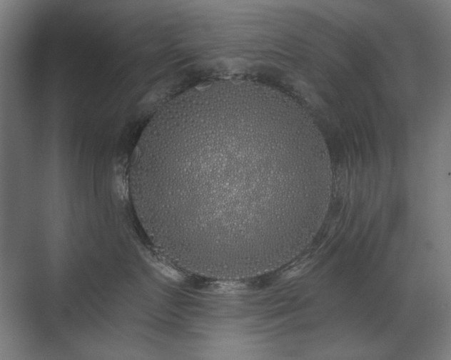 X0000072510719200607141132