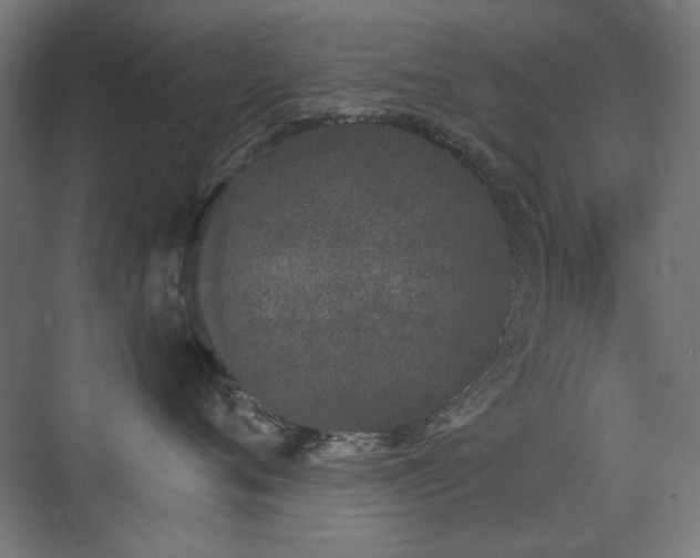 X0000072510720200607141132