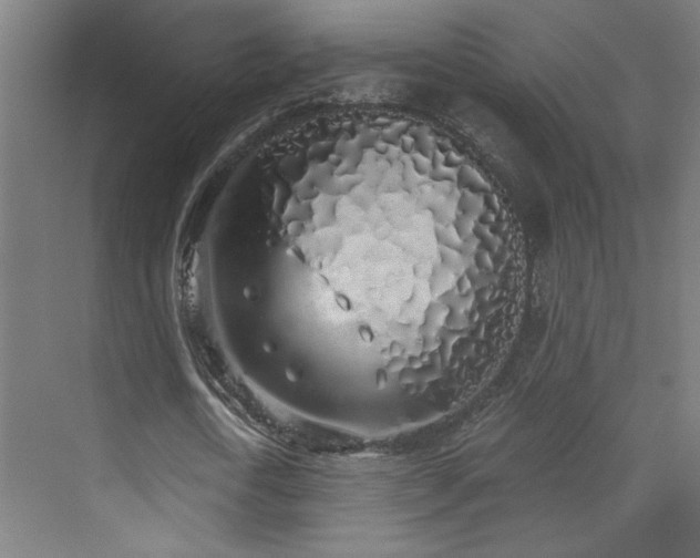 X0000072510722200607141131