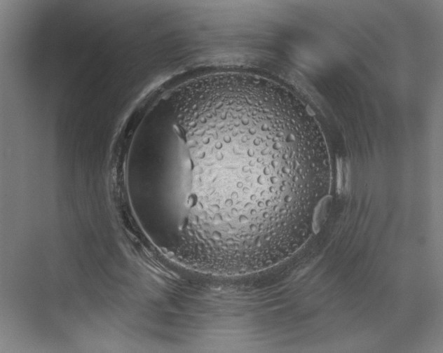X0000072510723200607141131