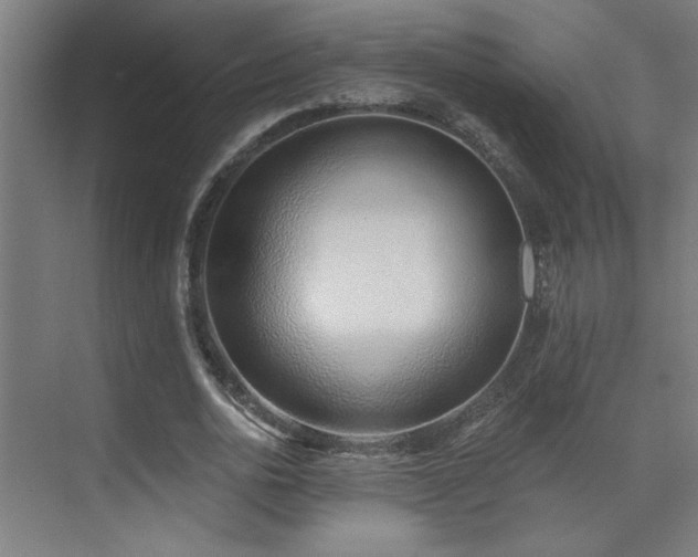 X0000072510726200607141131