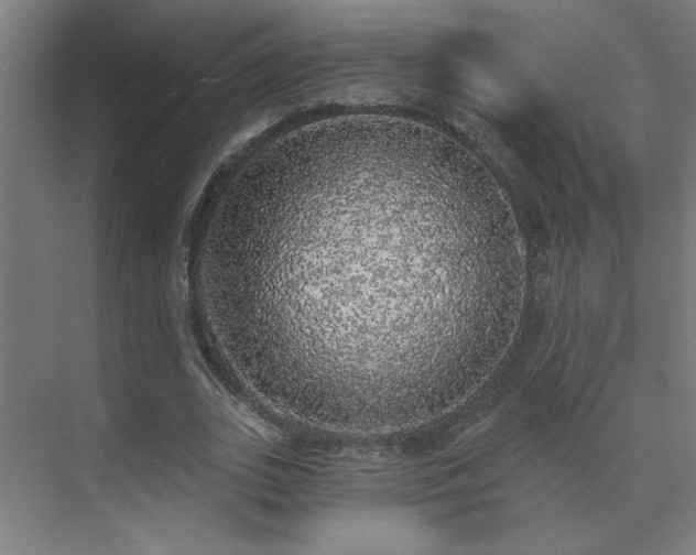 X0000072510727200607141131