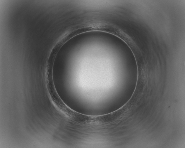 X0000072510730200607141131