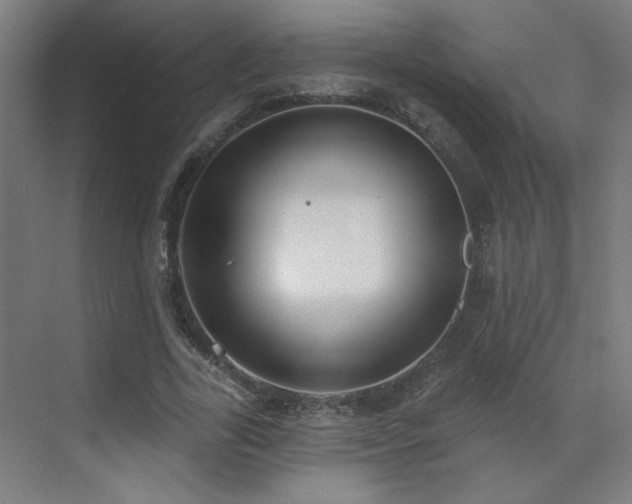 X0000072510731200607141131