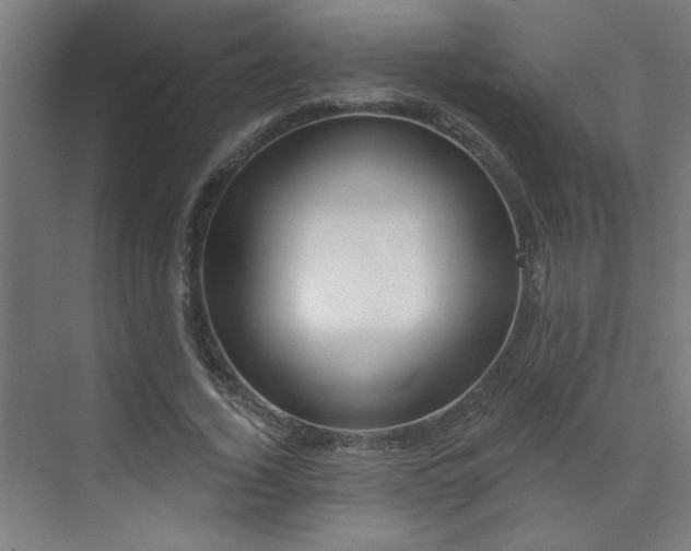 X0000072510732200607141131