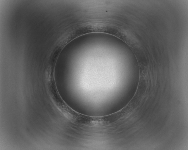 X0000072510744200607141131