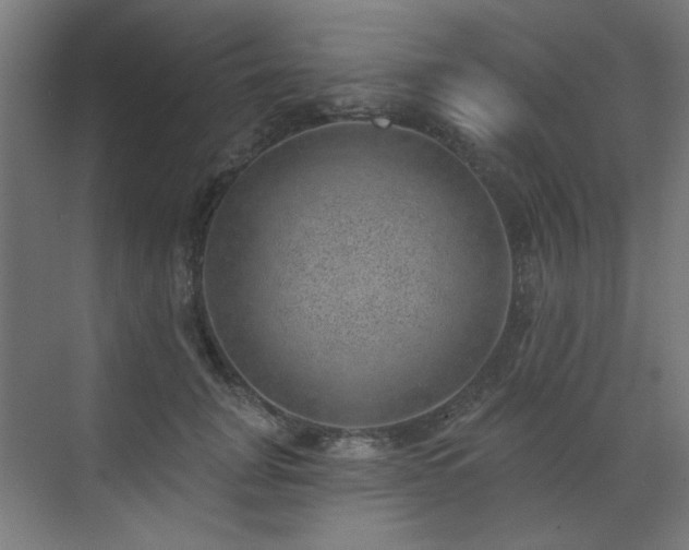 X0000072510751200607141132