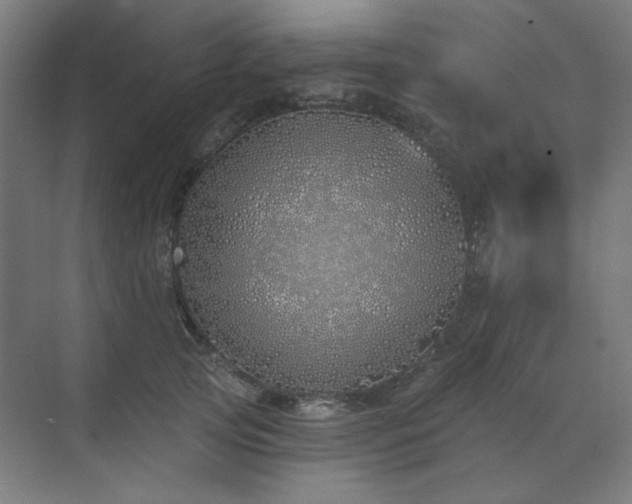 X0000072510753200607141132