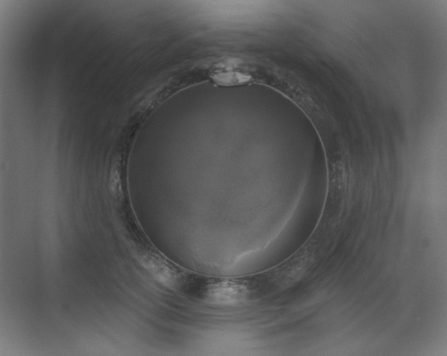 X0000072510754200607141132