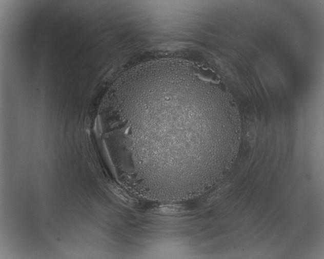 X0000072510758200607141132