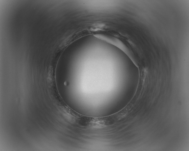 X0000072510760200607141132