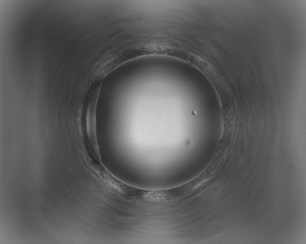 X0000072510762200607141132