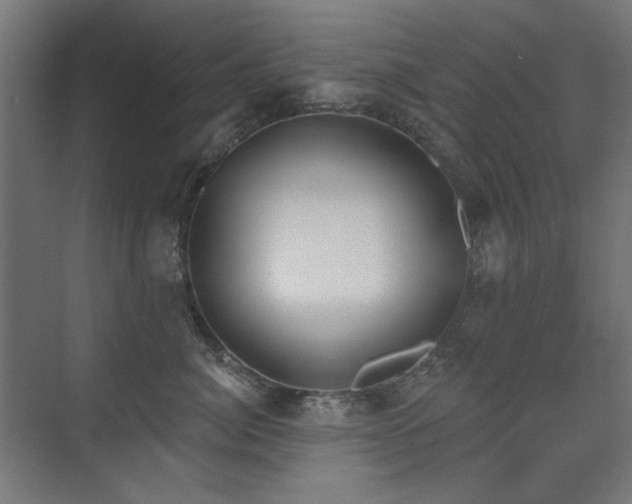X0000072510764200607141132
