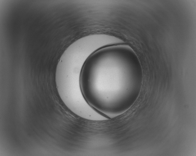 X0000072510768200607141132