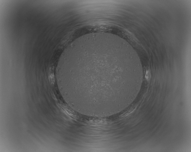 X0000072510771200607141131