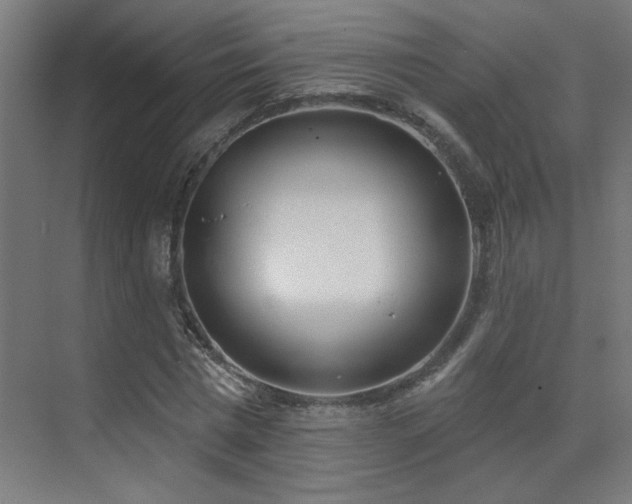 X0000072510777200607141131