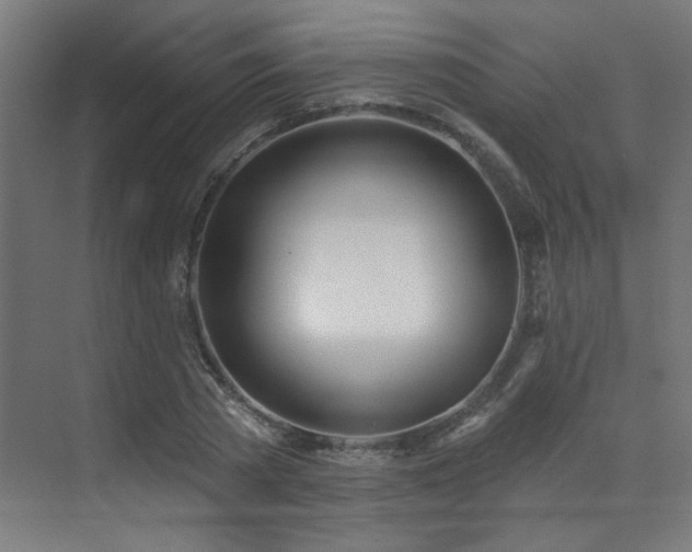 X0000072510785200607141131