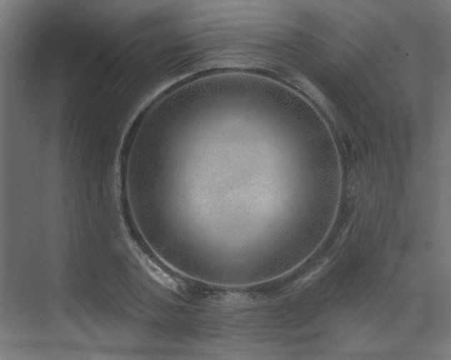 X0000072510787200607141131