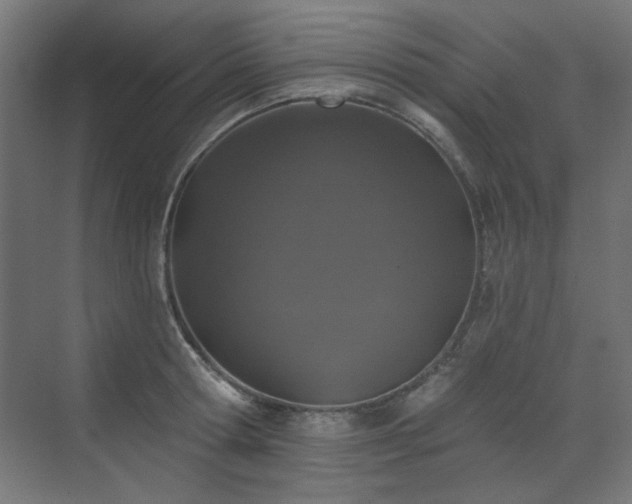 X0000072510802200607141130