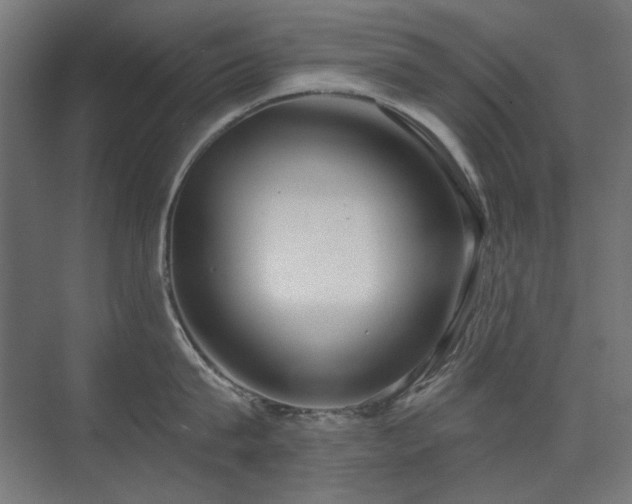 X0000072510815200607141130