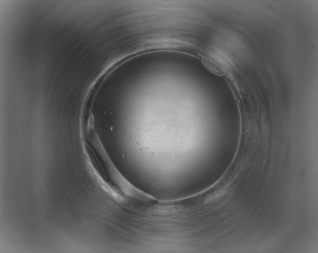 X0000072510843200607141130