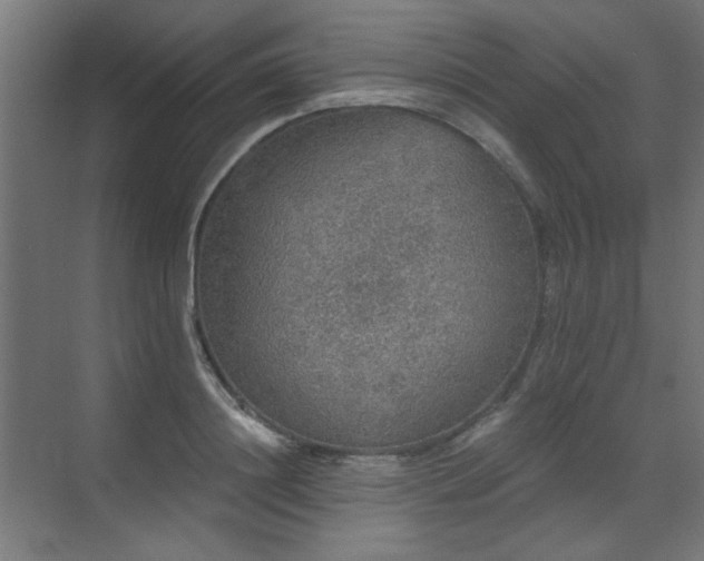 X0000072510844200607141130