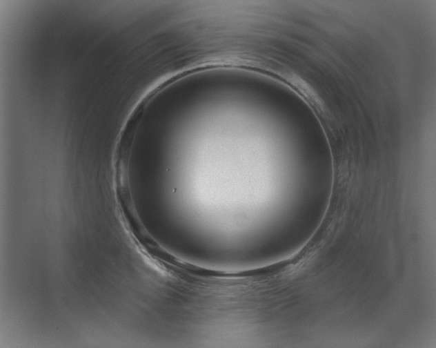 X0000072510854200607141130
