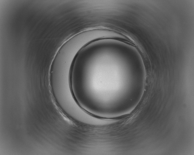 X0000072510858200607141130