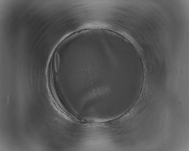 X0000072510864200607141130