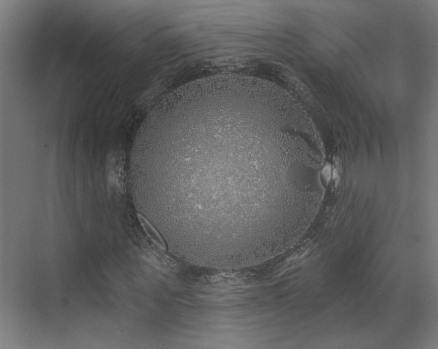 X0000072510867200607141129