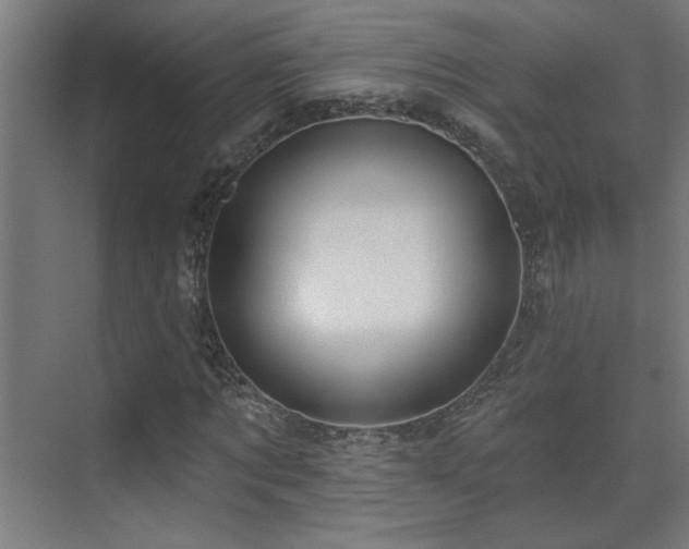 X0000072510869200607141129