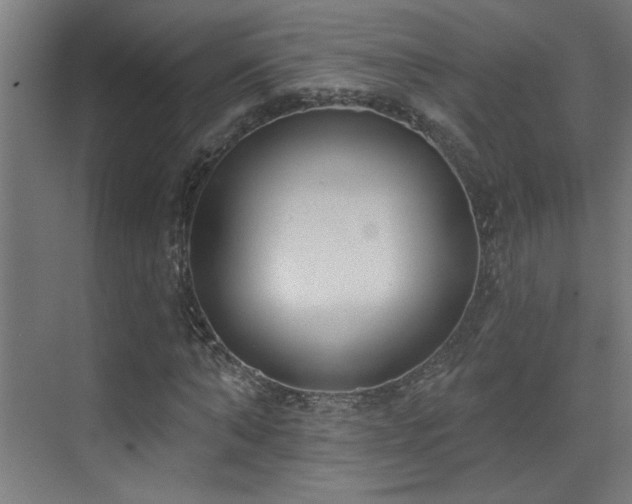 X0000072510870200607141129