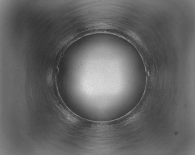 X0000072510873200607141129
