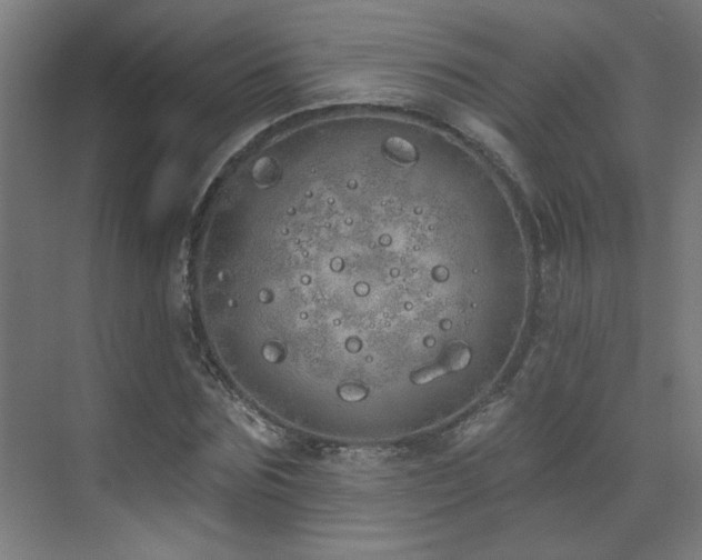 X0000072510875200607141129