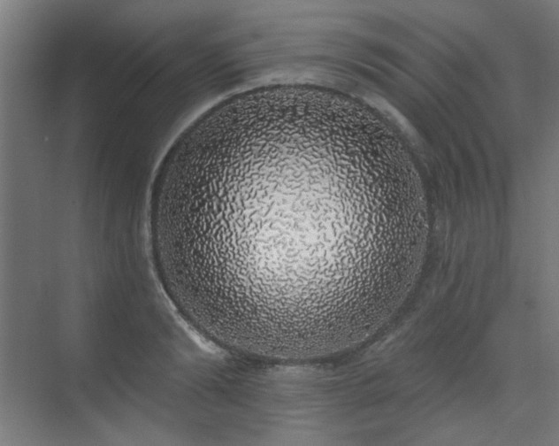 X0000072510894200607141129