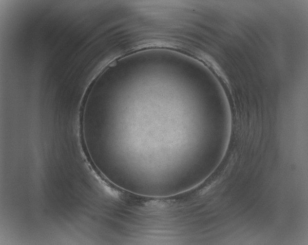 X0000072510898200607141129