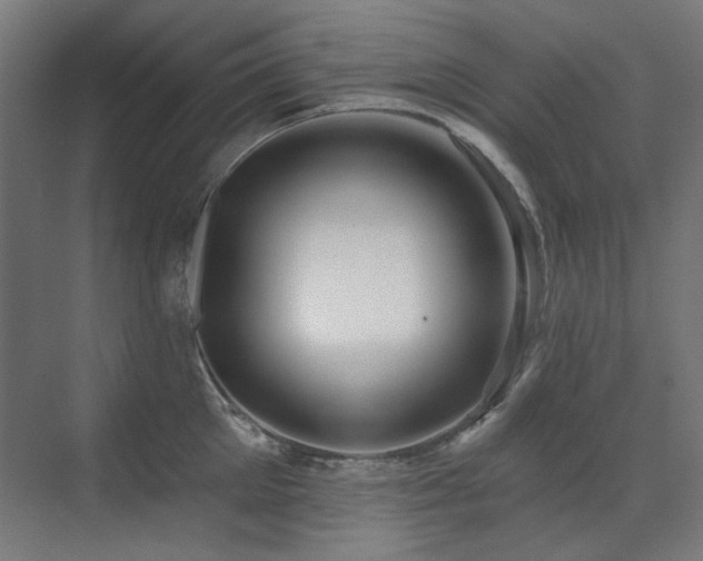 X0000072510905200607141129